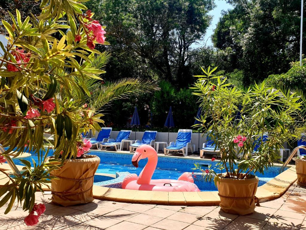 a pink flamingo in a swimming pool with plants at Hotel Feniks in Lozenets