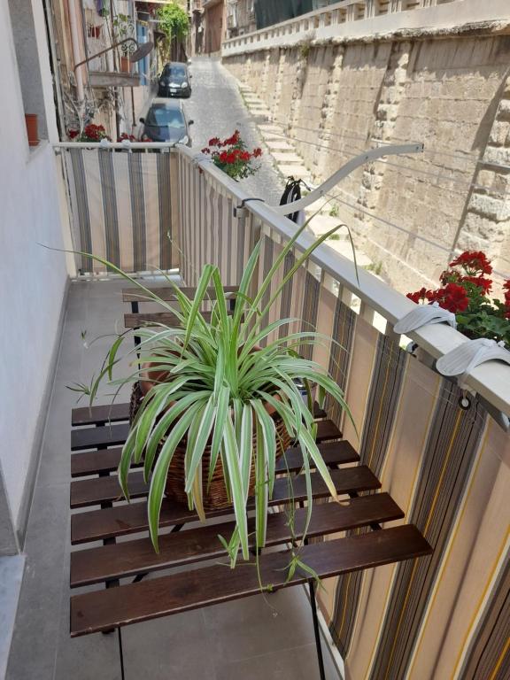 a wooden bench with a plant on a balcony at La casetta del mare in Gela