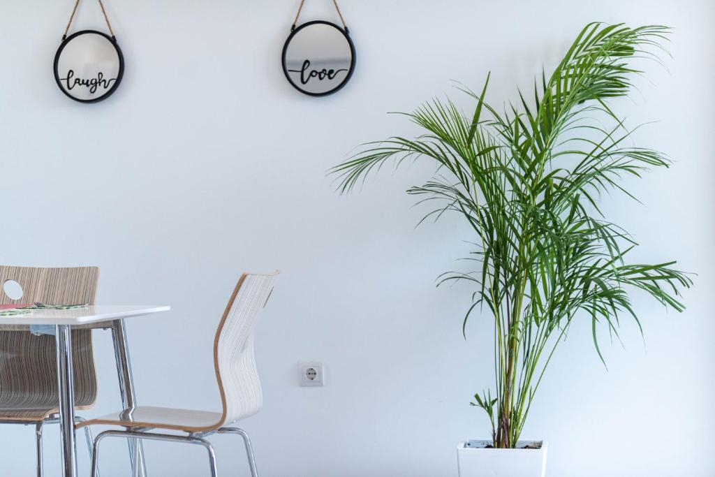 Fotografie z fotogalerie ubytování Diorisa House v destinaci Lárdos