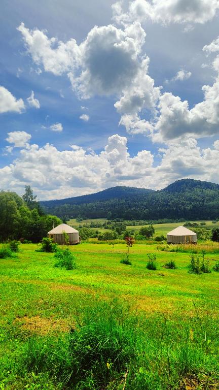 Příroda nedaleko luxury tent