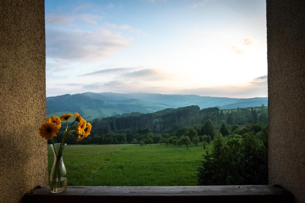 a vase with flowers on a window sill with a view at Hotel Kopanice in Žitková