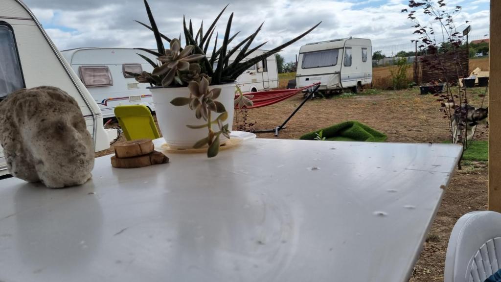 Fotografie z fotogalerie ubytování Makeeda Camping v destinaci Vama Veche