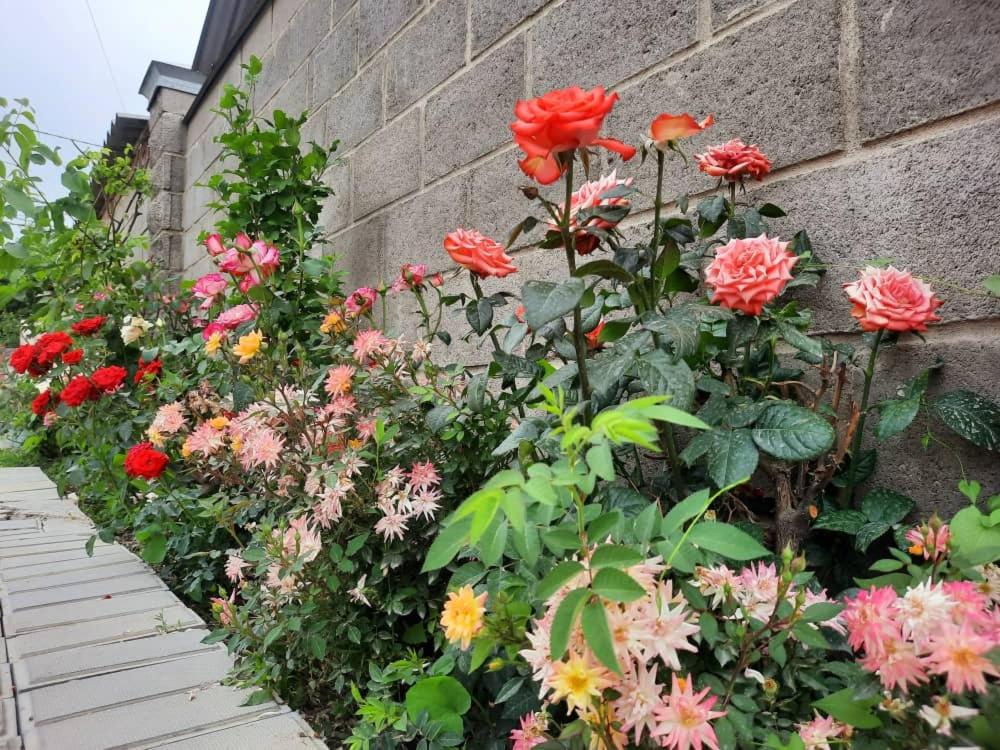 Zahrada ubytování Homestay JAISEL