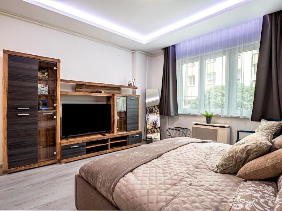 a bedroom with a large bed and a television at Vidra-lak with Private Parking in Budapest