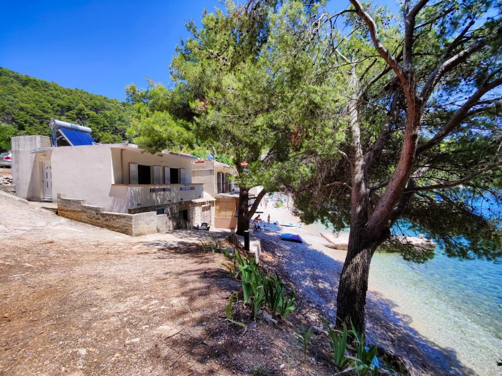 a house on the beach next to the water at Robinson Borik in Bogomolje