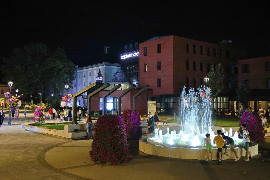 Hosté ubytování Zepter Hotel Drina Bajina Basta, member of Zepter Hotels