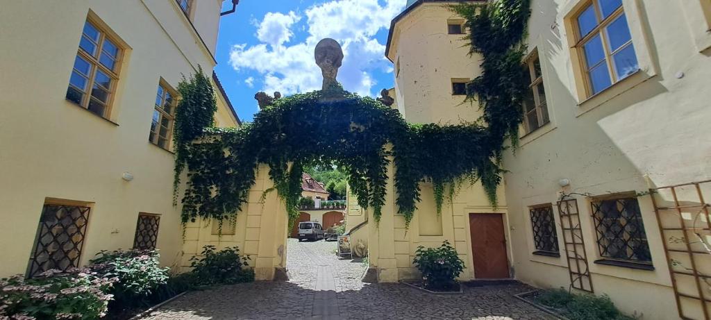 At the Blue Lion and Parking Assistance - 16