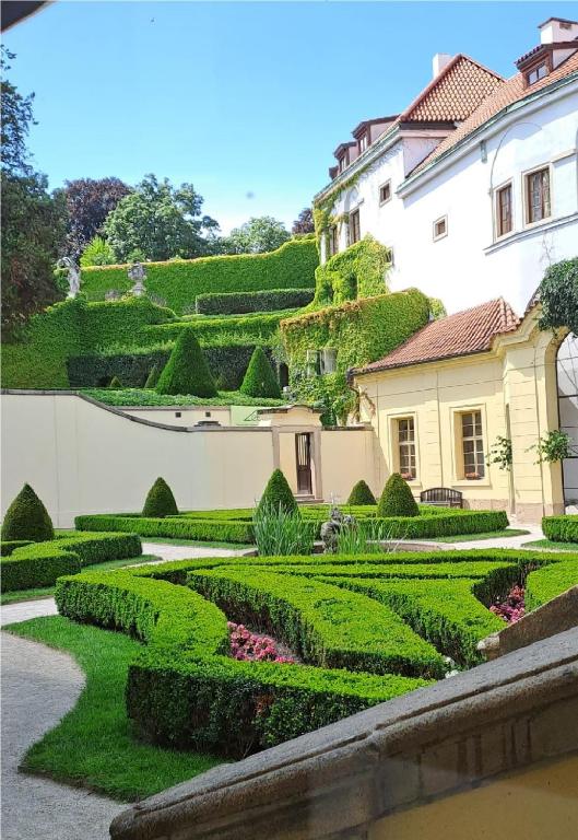 At the Blue Lion and Parking Assistance - 17