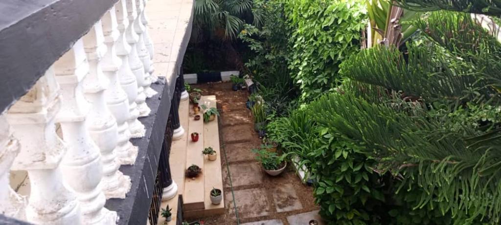 an overhead view of a garden with plants and a white railing at Vero house in Zanzibar City