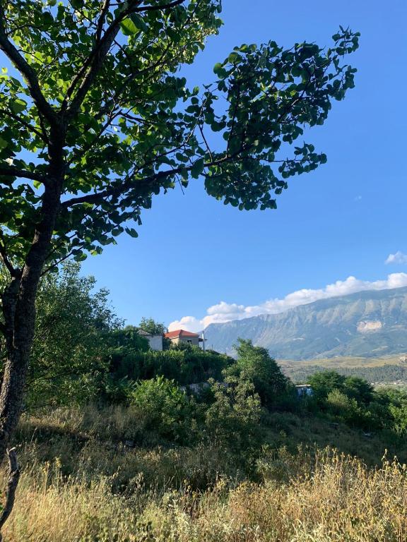 Isaraj Guest House - Image 5