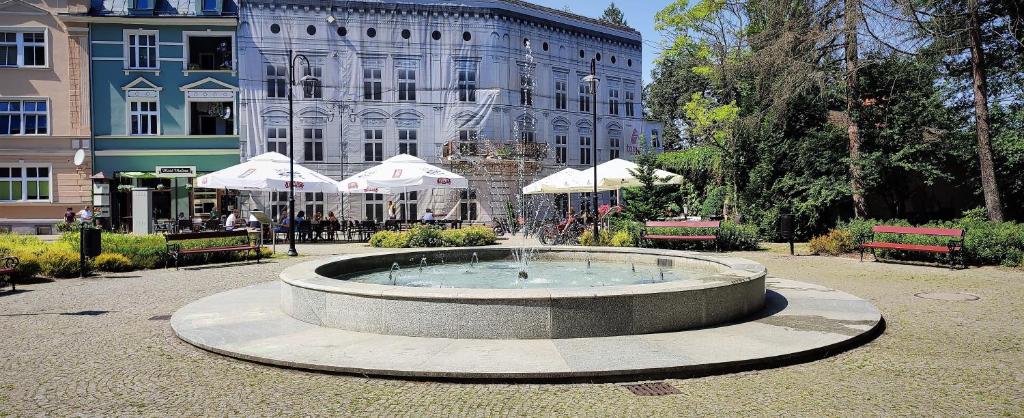 APARTAMENT "Opawska Przystań" - 17