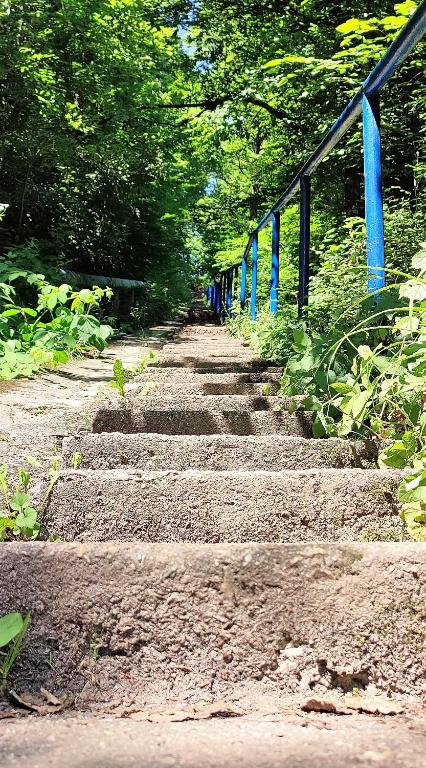 APARTAMENT "Opawska Przystań" - 16