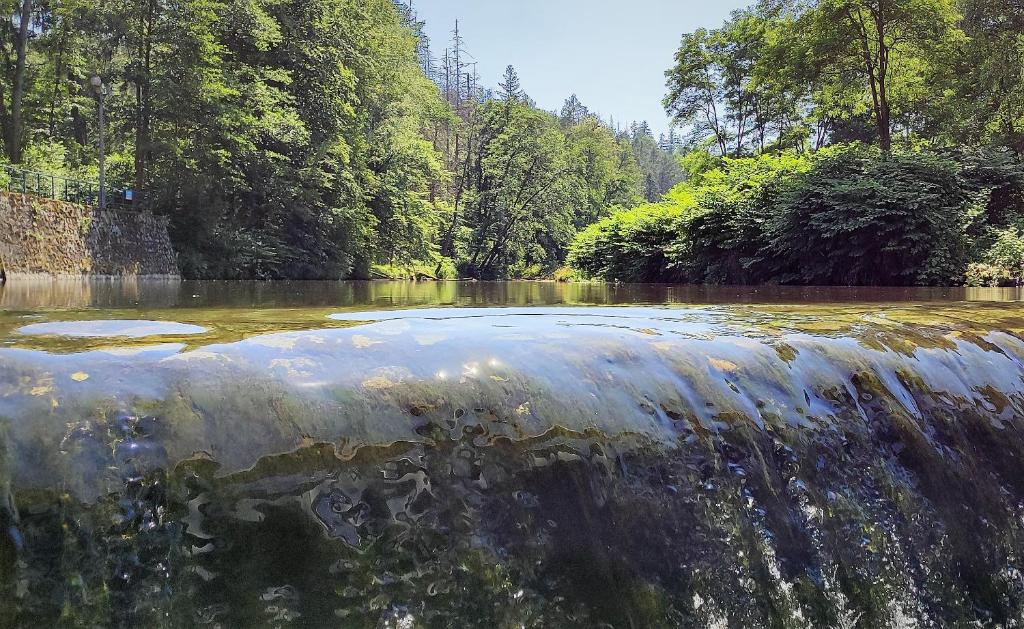 APARTAMENT "Opawska Przystań" - 15