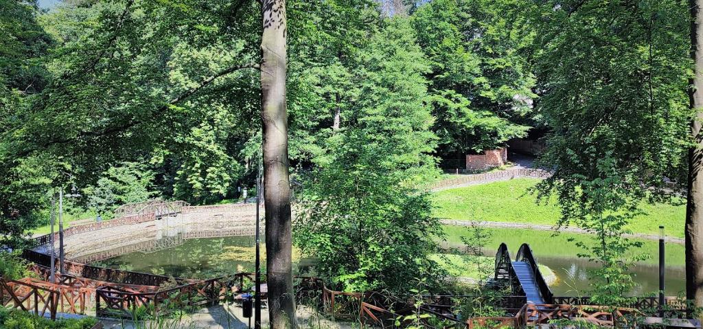 APARTAMENT "Opawska Przystań" - 13