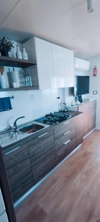 Kuchyň nebo kuchyňský kout v ubytování Mobile home Greta