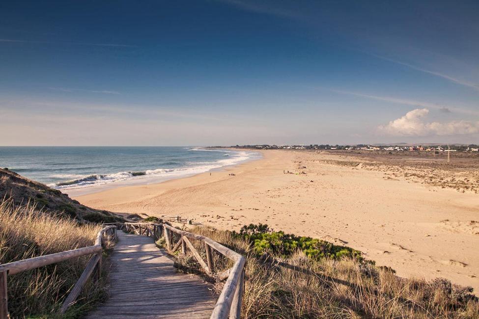 a wooden path leading to a beach with the ocean at Villa Candari in Chiclana de la Frontera