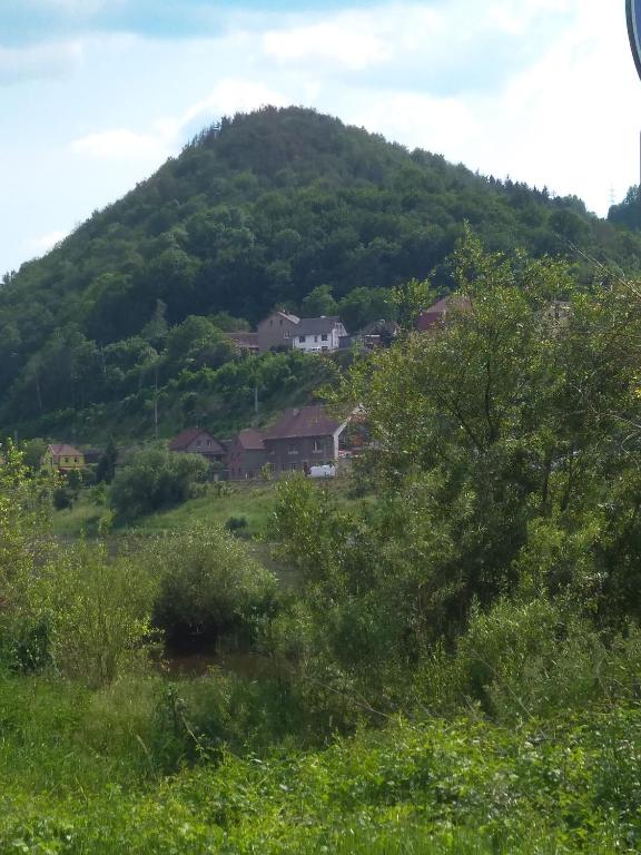 Příroda nedaleko apartmánu