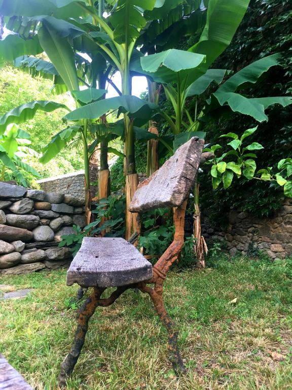 Zahrada ubytování HACIENDA SHAKTIPAT