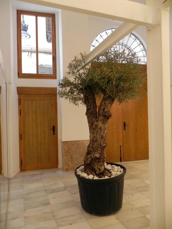 Catalina Suites Apartments Downtown Valencia - Resim 12