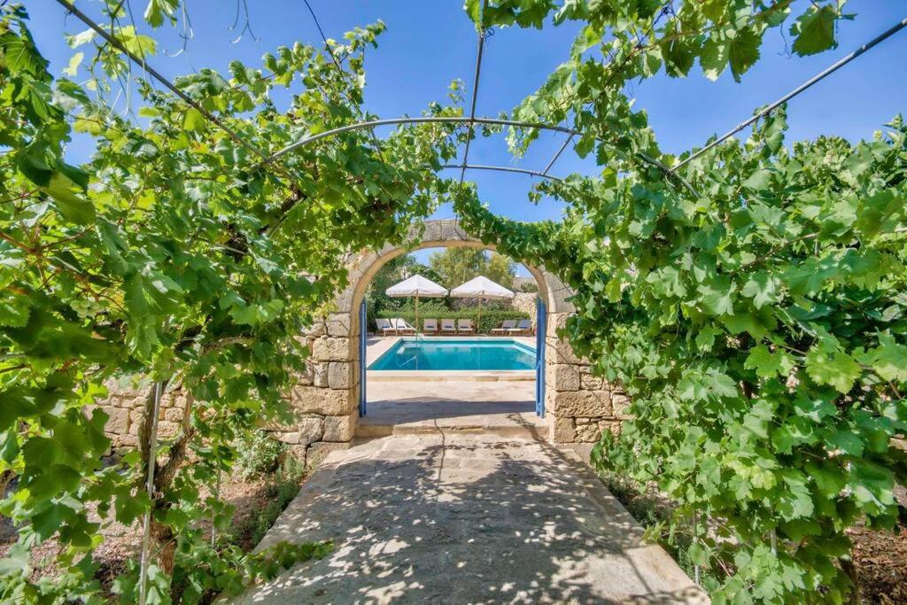 vistas a una piscina a través de un arco con vides en Casa Mezzodì' - Luxurious 18th C. Farmhouse with Gardens & Pool, en Kerċem