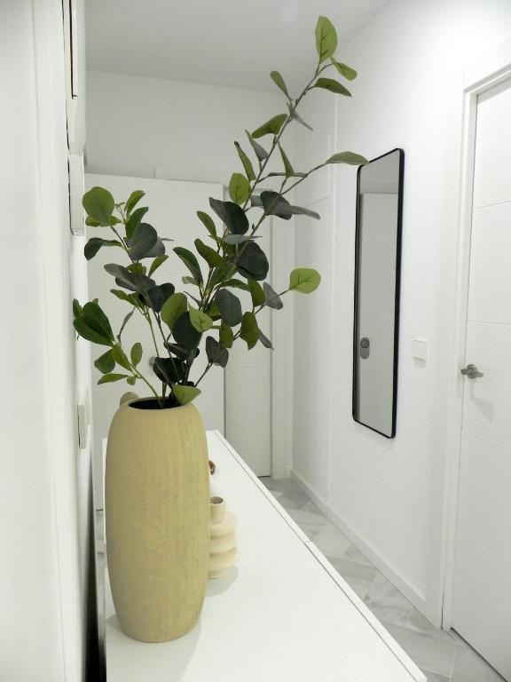 Catalina Suites Apartments Downtown Valencia - Resim 27