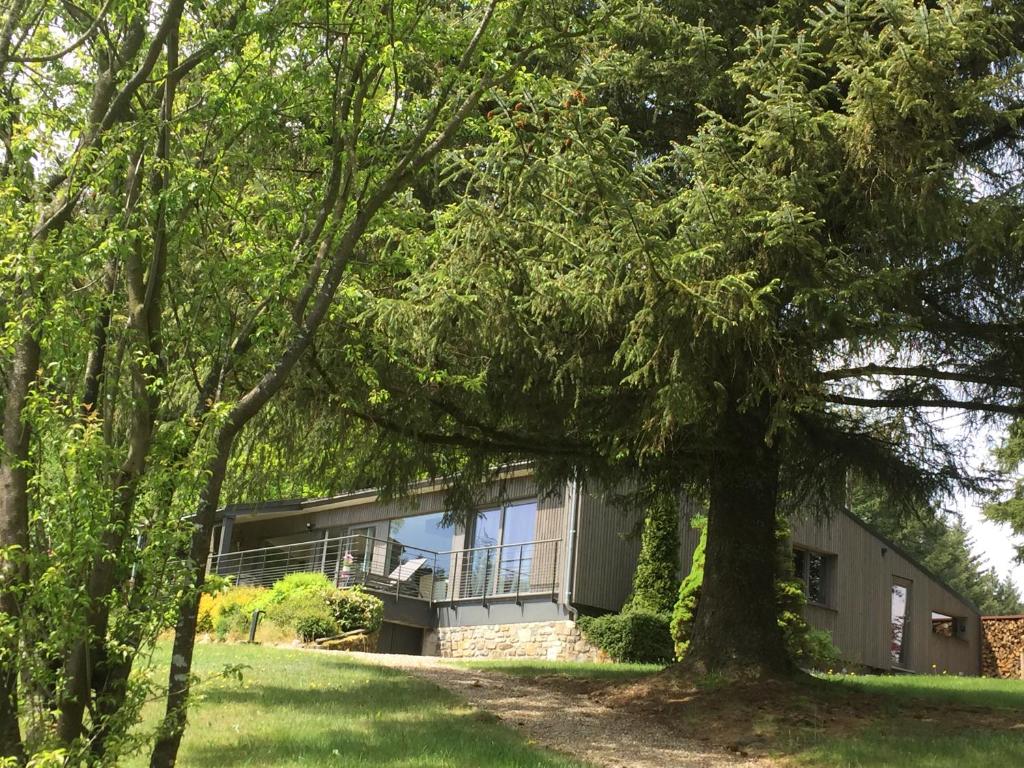 ein Haus mit einem Baum davor in der Unterkunft Cap Espérance in Weismes