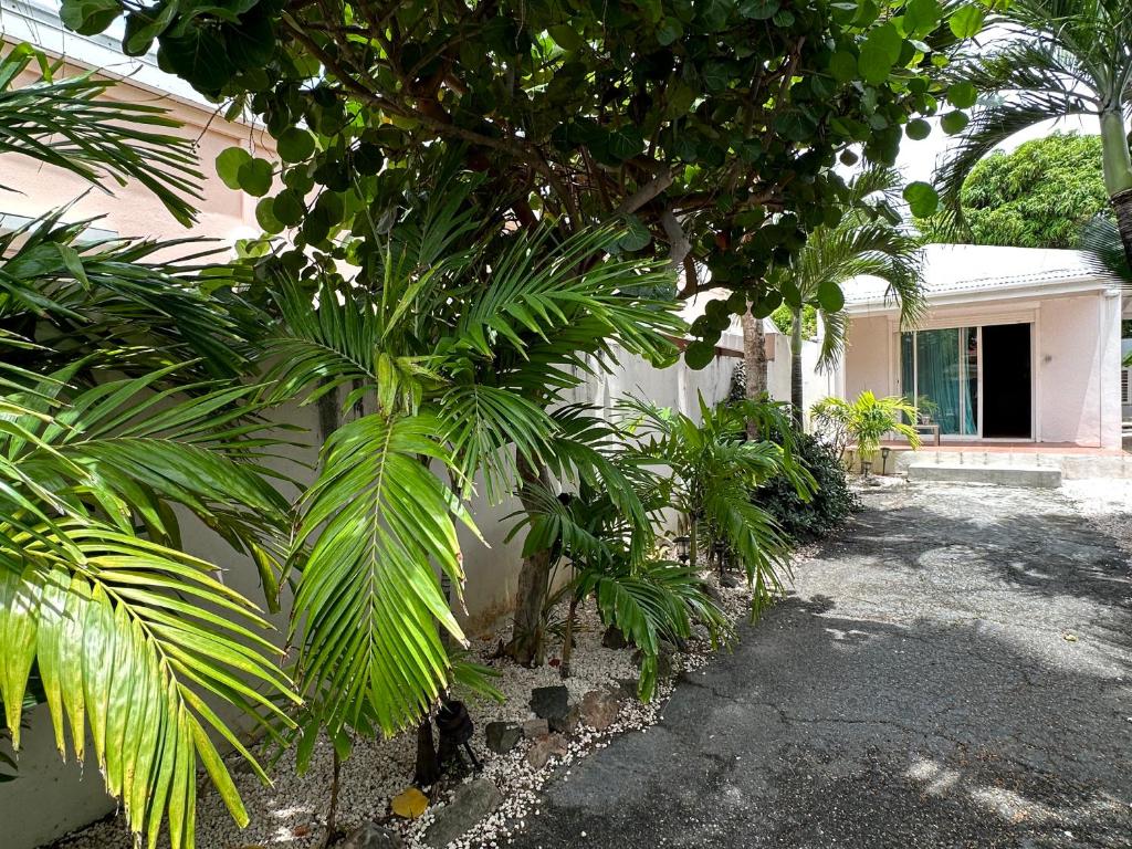 Zahrada ubytování Charming 1-Bed Studio in Simpson Bay - Beacon Hill