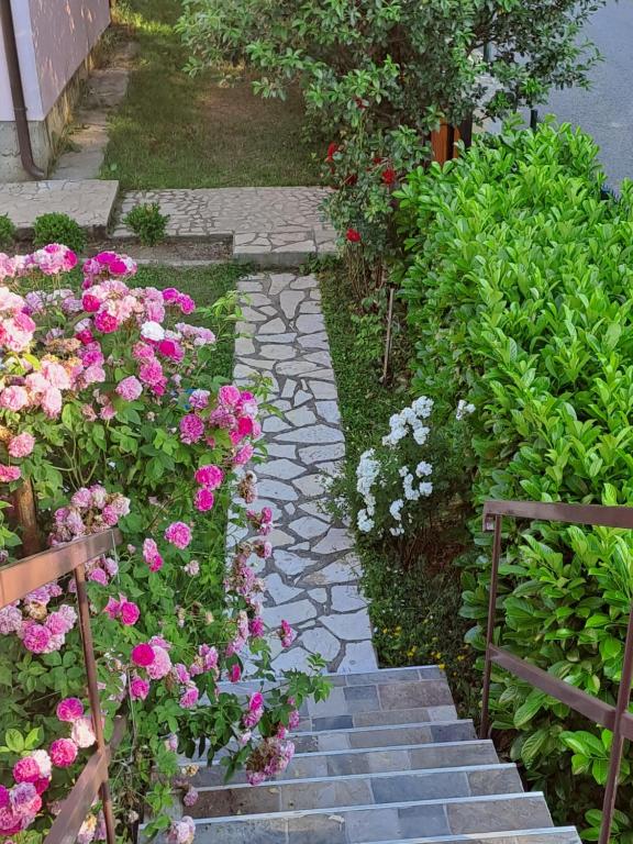 un jardín con flores rosas y blancas y escaleras en SAŠA en Kolašin