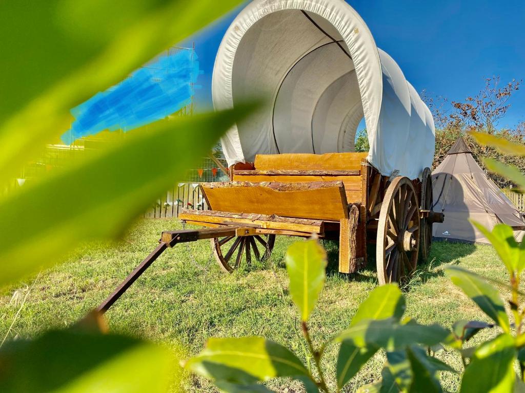 an old fashioned wagon sitting in the grass at O.K. Corral in SantʼAndrea in Casale
