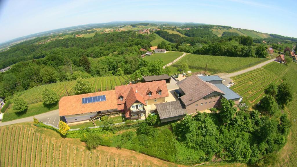 an aerial view of a large house in a vineyard at Weingut Gästezimmer Gruber in Ehrenhausen