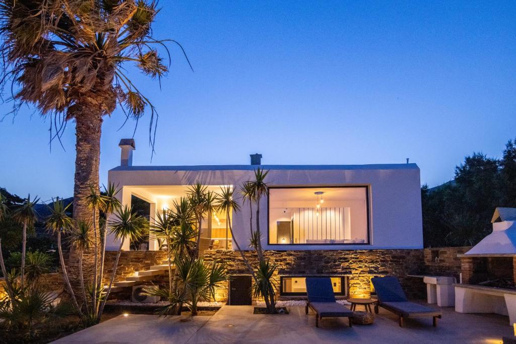 een huis met een palmboom ervoor bij Unforgettable Tinos beach houses complex in Agios Ioannis