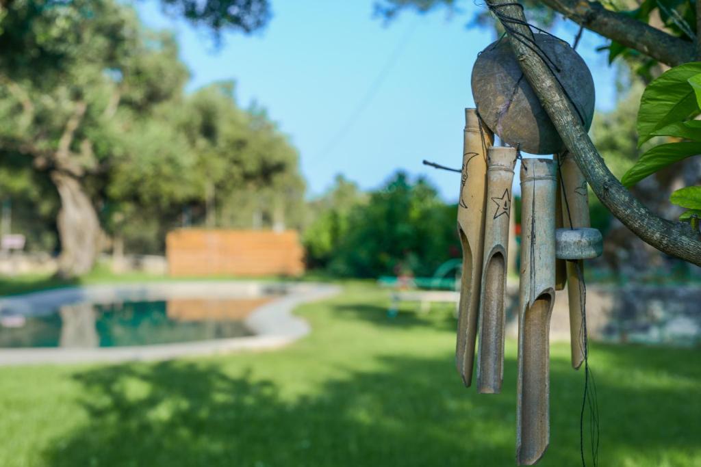 Ogród w obiekcie Il Greco