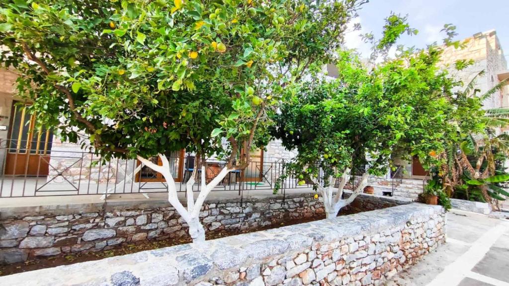 TRADITIONAL HOUSE ALEPIS IN AREOPOLIS - 1