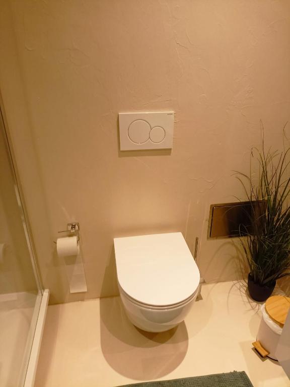 Koupelna v ubytování Apartmán u Ovečků - Nová Paka