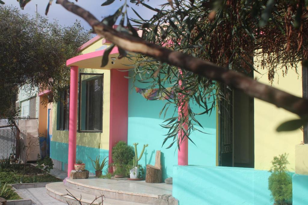 una casa colorida con un árbol delante en Hostel Posada de Gallo en Arica