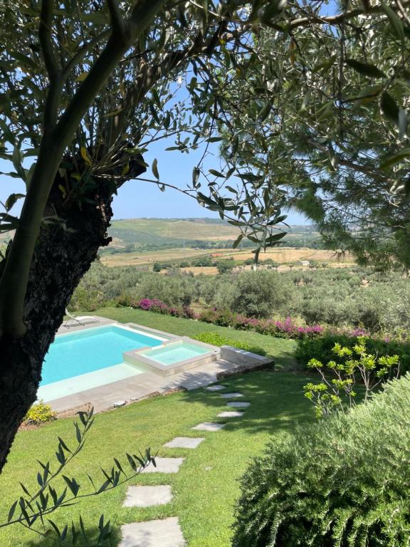 un jardin avec une piscine et un arbre dans l'établissement Tenuta di Quaranta, à Amaroni