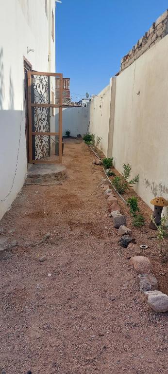 Downtown apartment (shared garden)