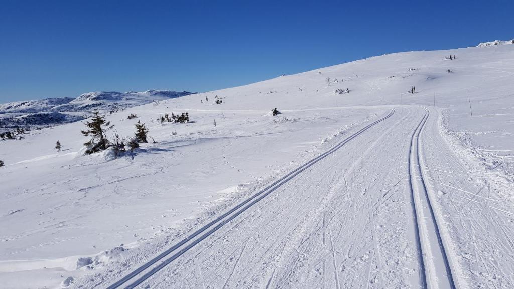 Luxurious, well-Equipped and modern Cabin by the Cross-Country Ski Trails v zimě