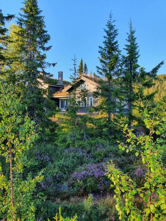 Zahrada ubytování Luxurious, well-Equipped and modern Cabin by the Cross-Country Ski Trails