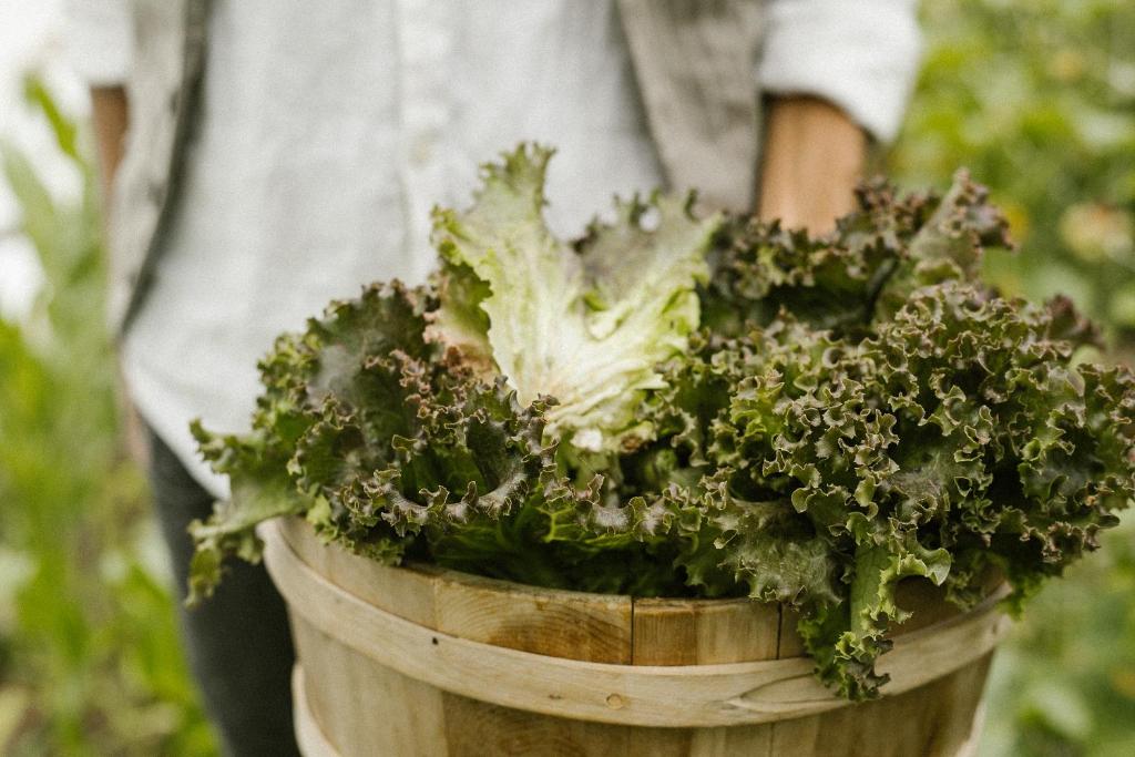 Zahrada ubytování Agriturismo I Pini