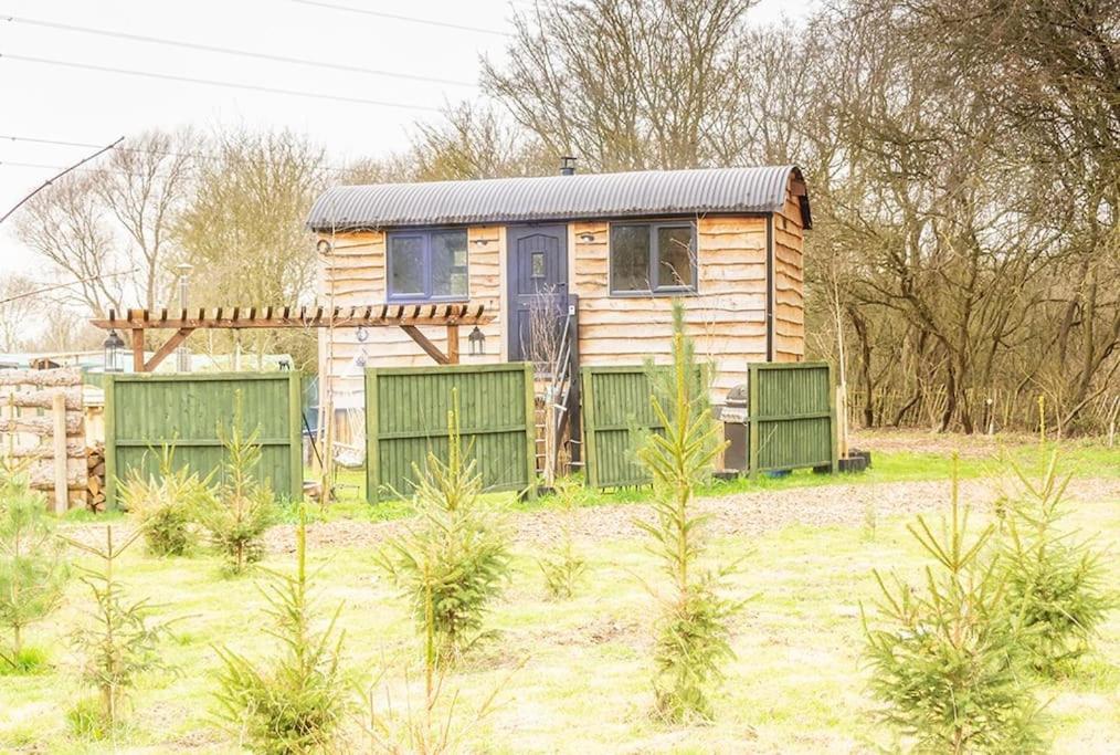 una pequeña casa de madera en un campo con árboles en Homestead Hut 