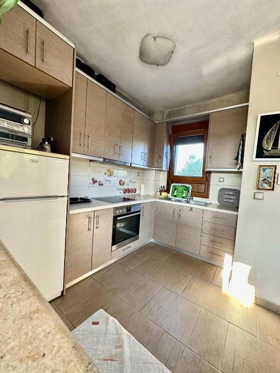Kuchyň nebo kuchyňský kout v ubytování Villa Elia in Nea Kallikrateia