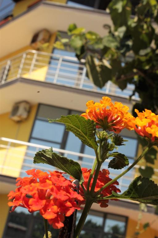 Balkón nebo terasa v ubytování Hotel PRINC