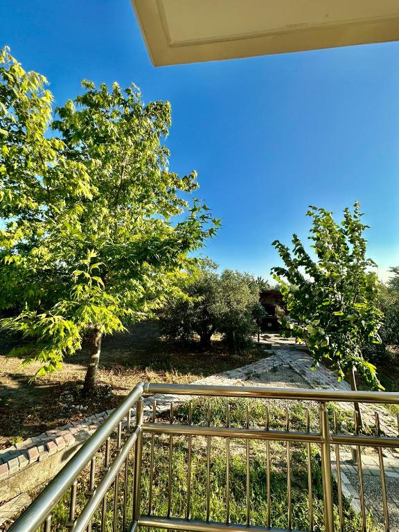 Zahrada ubytování Villa Elia in Nea Kallikrateia