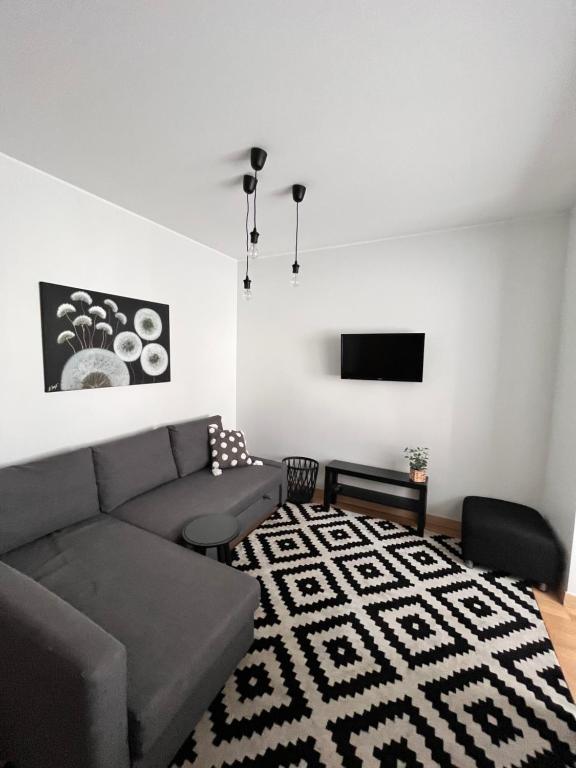 een woonkamer met een bank en een flatscreen-tv bij Stilingi šaulio skulptūros apartamentai in Druskininkai