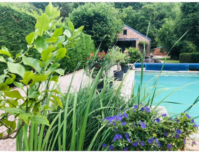 un giardino fiorito e una piscina di La mosane a Profondeville