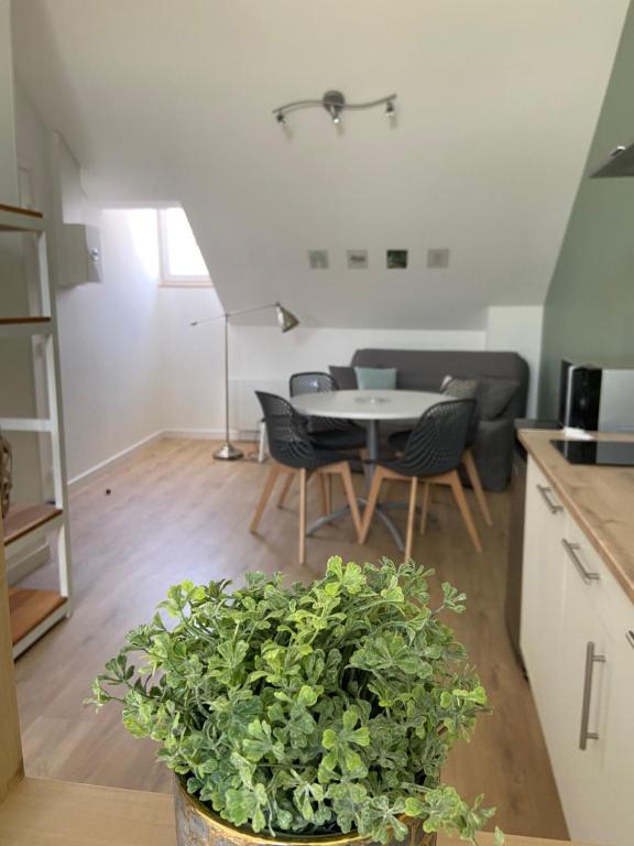 a kitchen and living room with a table and a plant at Amaryllis aux Bords de Loire in Les Rosiers