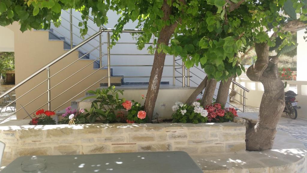 Zahrada ubytování Antonios Hotel Apartments