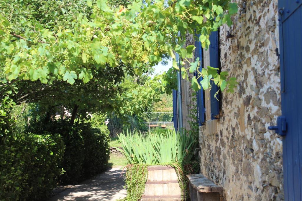 a blue door with a bench in front of a garden at La maison Cayré in Mirandol-Bourgnounac