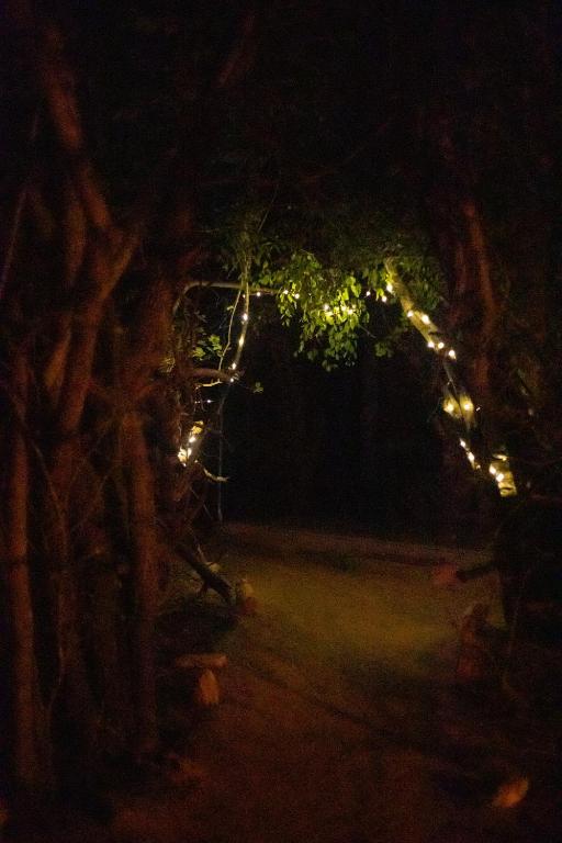 Fotografie z fotogalerie ubytování Yala Eco Bush Camp v destinaci Yala